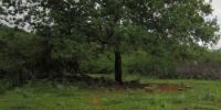 Foto: © Inês Ponte / Associação Portuguesa de Antropologia.