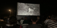 Filme-lobos