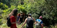 caminhada